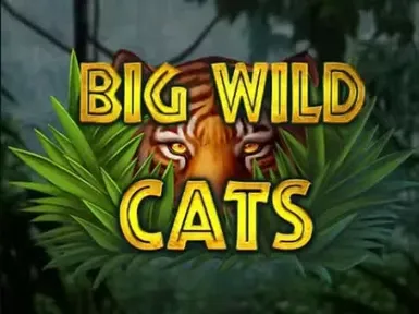 Lucky8 Casino screenshot